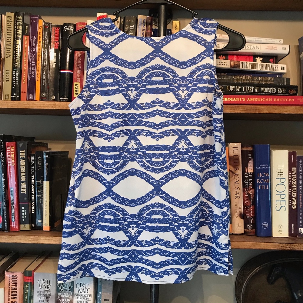 Ann Taylor Blue and White Blouse